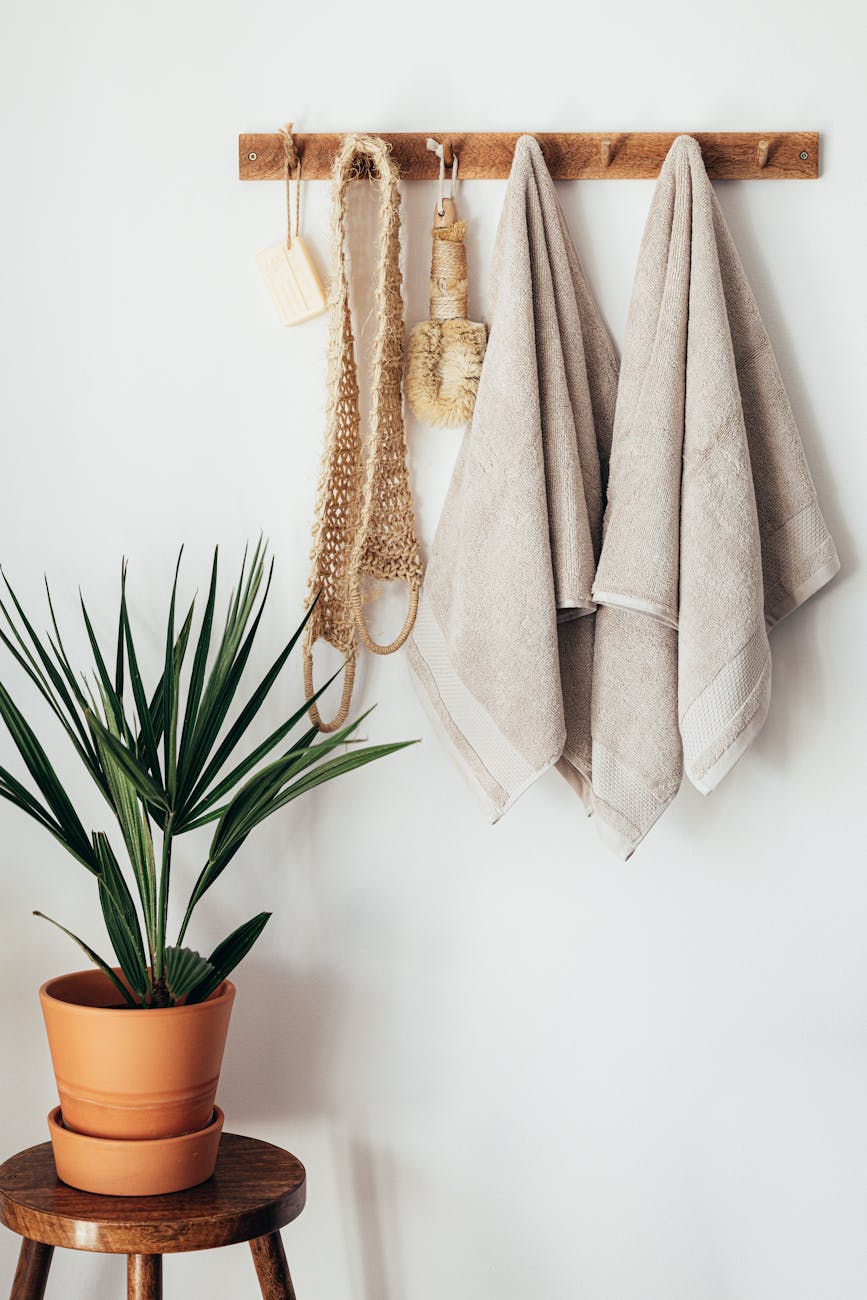 green potted plant in minimalistic bathroom with body care tools