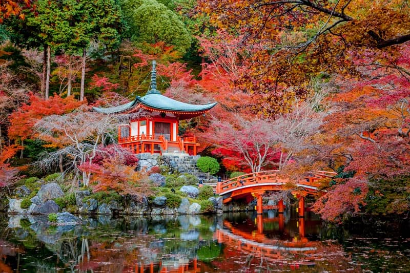 Japan is famous for its four distinct and breathtaking seasons, and many visitors to the country often consider the Japanese autumn to be the most beautiful